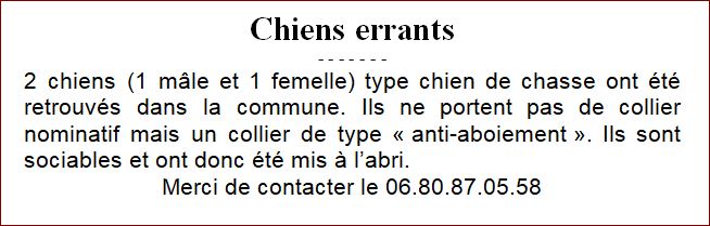 chiens_rrants_avril2024