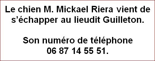 chien_riera