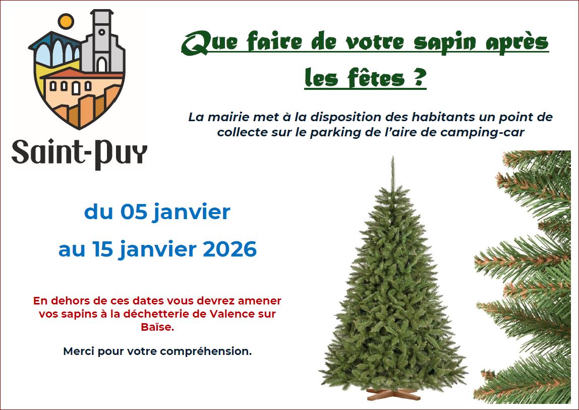 sapin_poubelle_stpuy