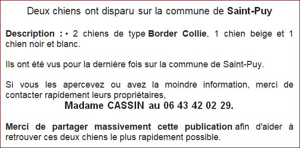 chiens_deux_juil2026